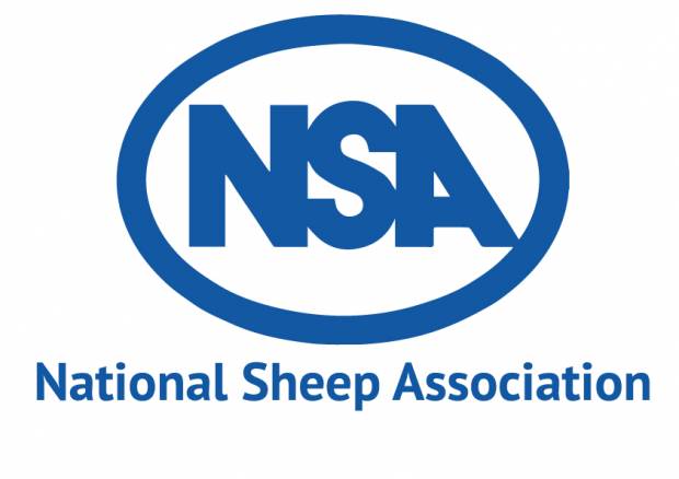 NSA looking for full-time Technical Communications Officer and part-time Northern Ireland Region Coordinator