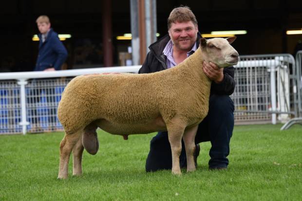 Anticipation Builds for Badly Missed Early Ram Sale