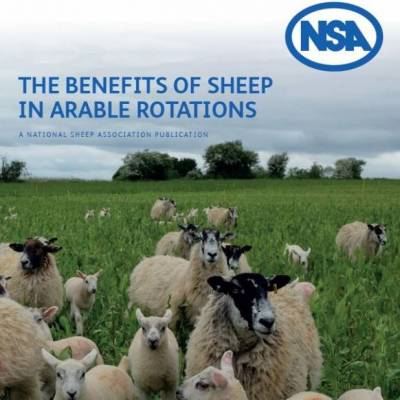 The benefits of sheep in arable rotations