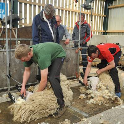 Joint industry guidance for shearing
