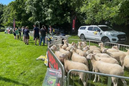 Hands-on ‘Field Days’ pass latest technical knowledge to sheep farmers in South East England