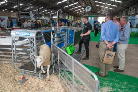 Variety of demonstrations to bring practical dimension to NSA Sheep 2022
