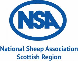 NSA Scottish Region Next Generation Shepherds competition