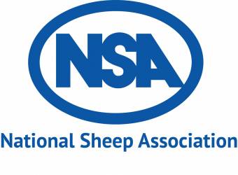 NSA Central and Eastern Region Young Shepherd Competition