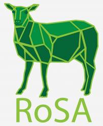 RoSA webinar - New approaches to feeding the pregnant ewe