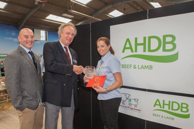 Best Indoor Trade Stand: AHDB Beef & Lamb