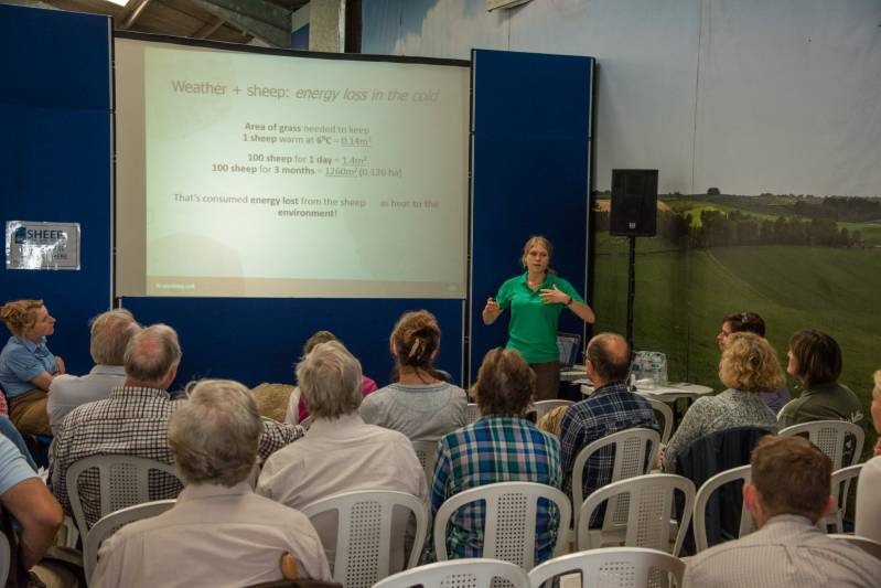 A relatively new addition to NSA Sheep Events, the workshop area was again a popular attraction 